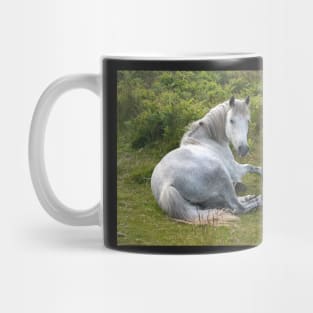 Pony Mug